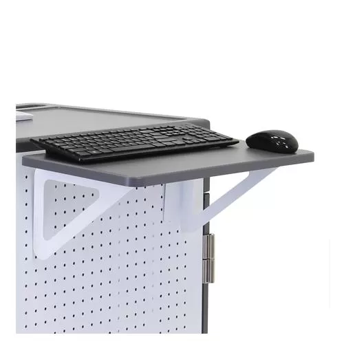 Ergotron Pegboard Shelf Dealers in Hyderabad, Telangana, Ameerpet